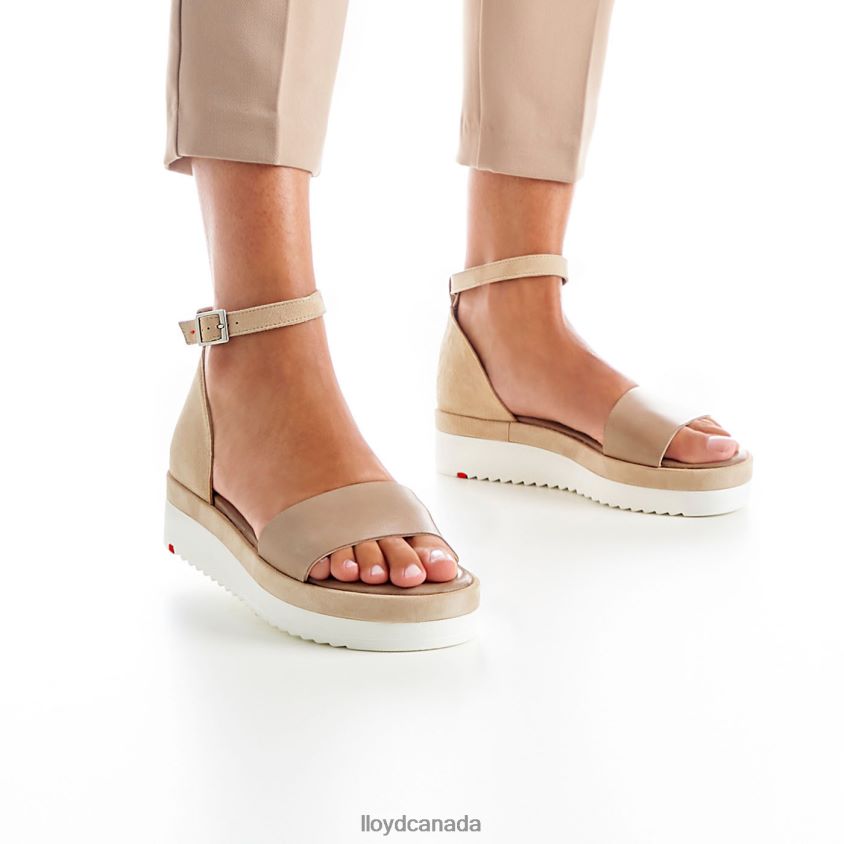 SANDALS LLOYD Women beige R084ZF1226 Shoes