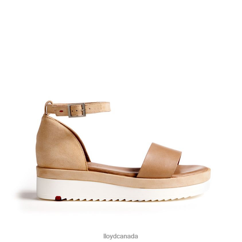 SANDALS LLOYD Women beige R084ZF1226 Shoes