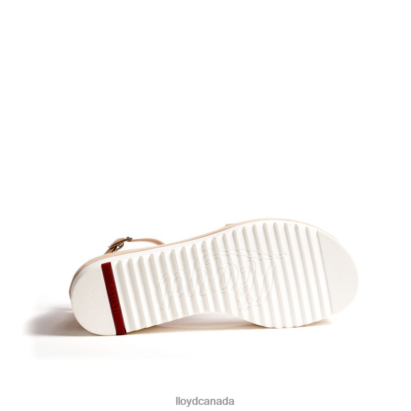 SANDALS LLOYD Women beige R084ZF1226 Shoes