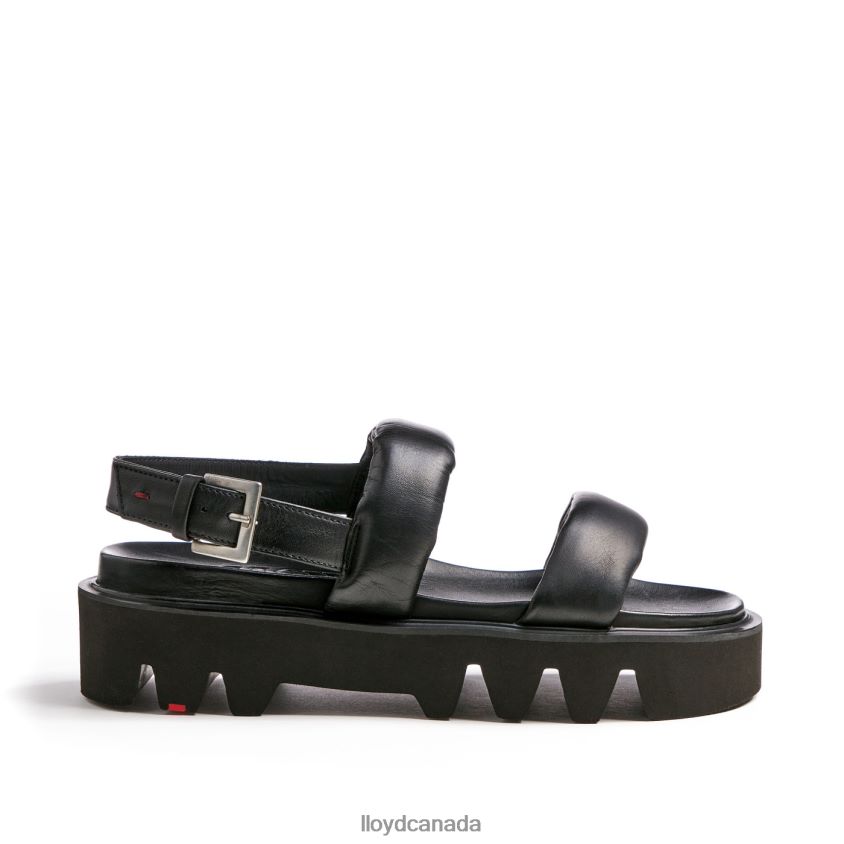 SANDALS LLOYD Women black R084ZF1206 Shoes
