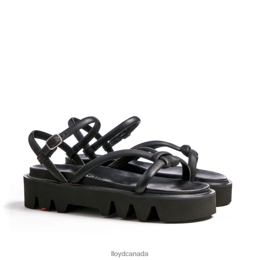 SANDALS LLOYD Women black R084ZF1218 Shoes