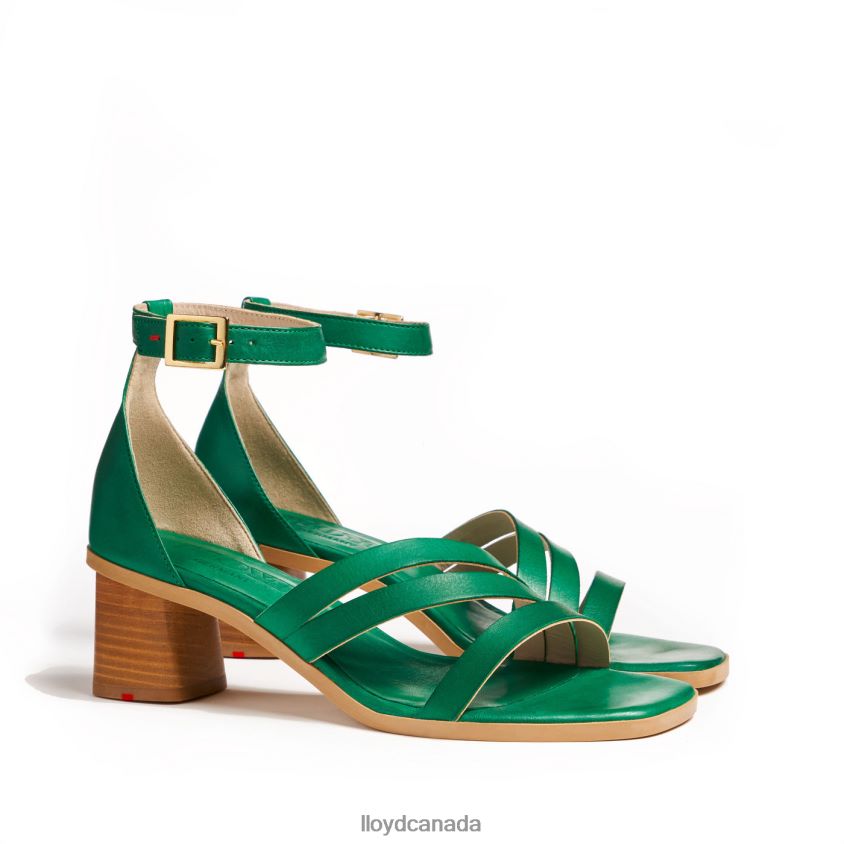 SANDALS LLOYD Women green R084ZF1203 Shoes