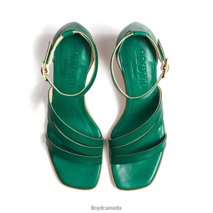 SANDALS LLOYD Women green R084ZF1203 Shoes