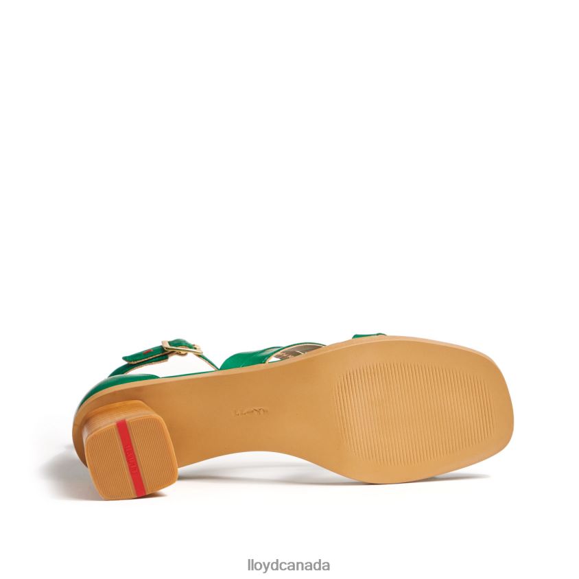 SANDALS LLOYD Women green R084ZF1203 Shoes