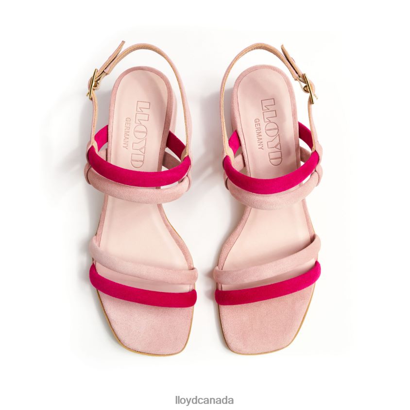 SANDALS LLOYD Women pink R084ZF1167 Shoes