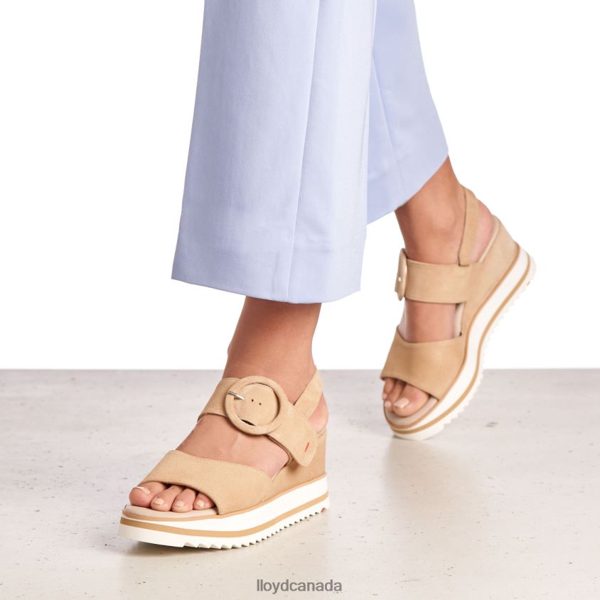 SUEDE SANDALE LLOYD Women beige R084ZF1224 Shoes