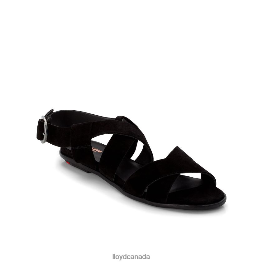 SUEDE SANDALE LLOYD Women black R084ZF1239 Shoes