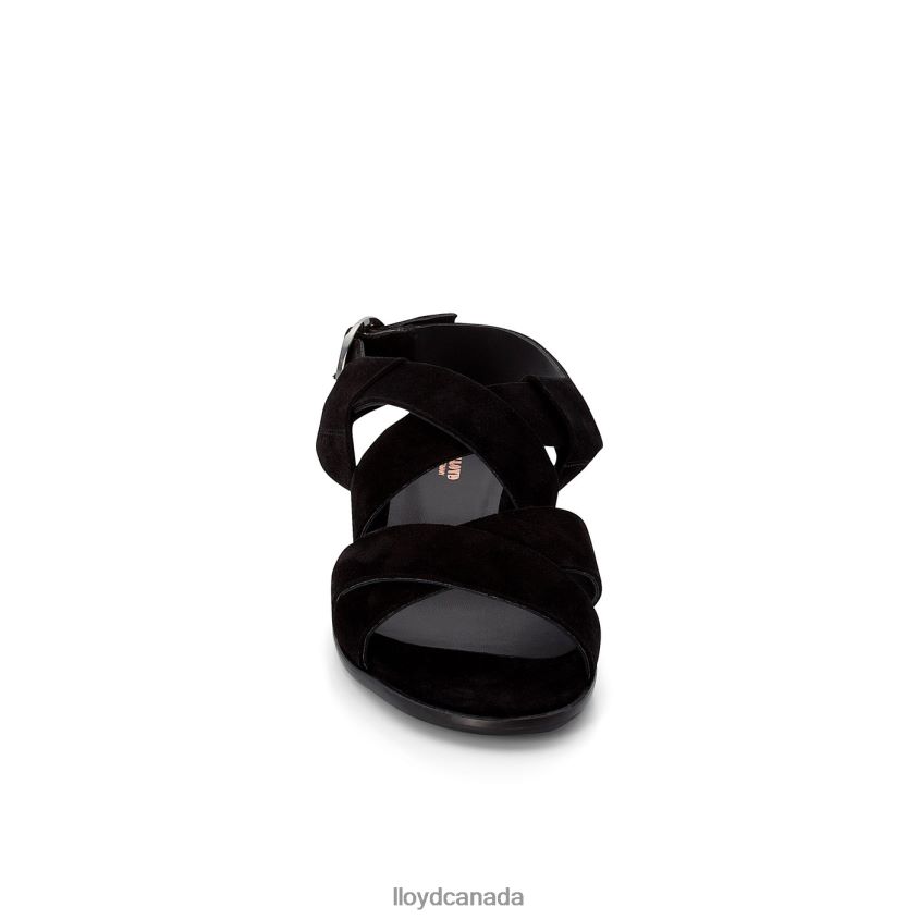 SUEDE SANDALE LLOYD Women black R084ZF1239 Shoes