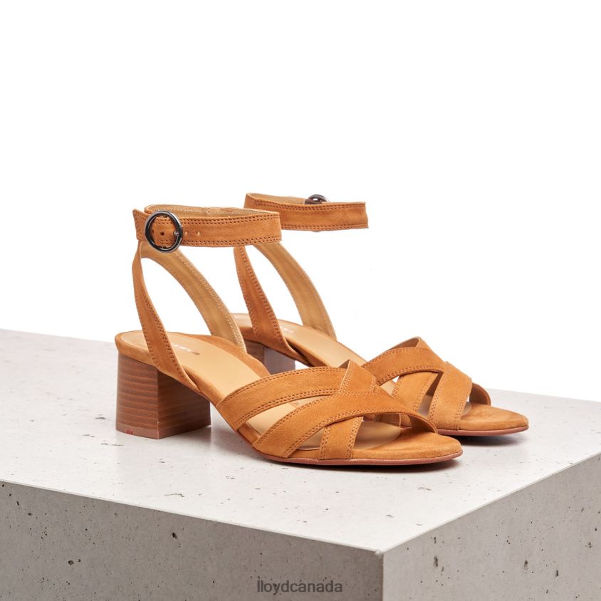 SUEDE SANDALE LLOYD Women brown R084ZF1155 Shoes