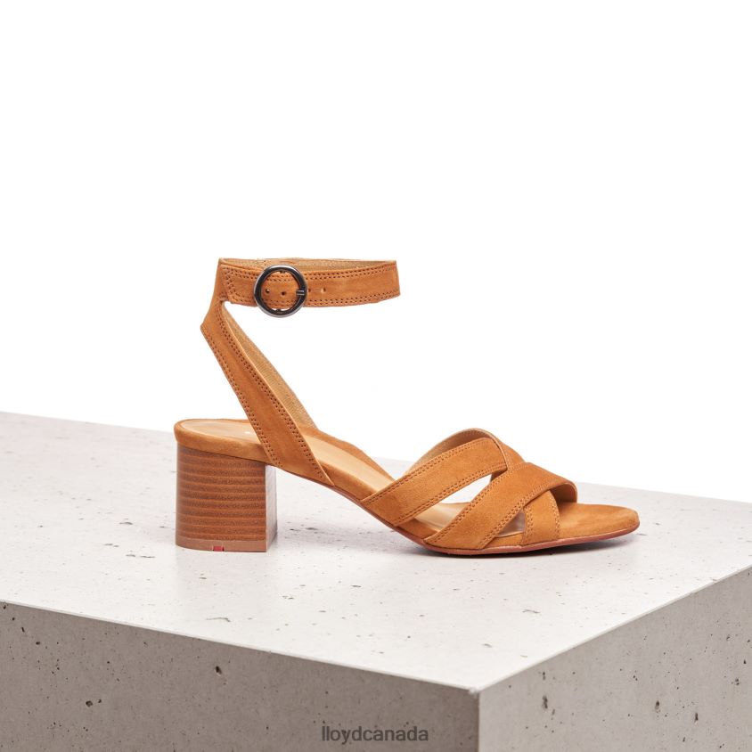 SUEDE SANDALE LLOYD Women brown R084ZF1155 Shoes