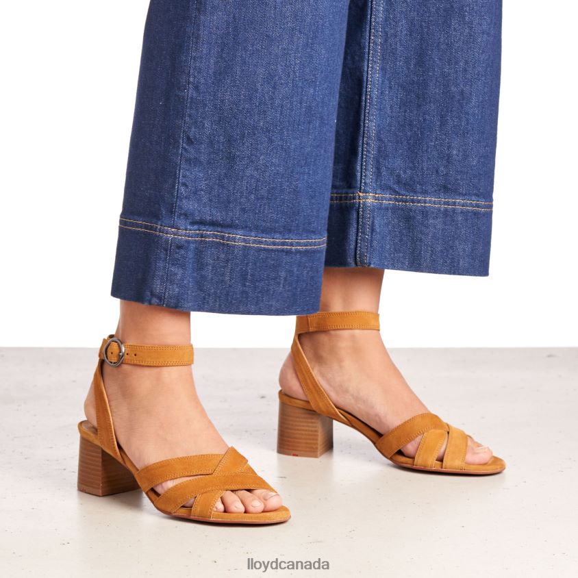 SUEDE SANDALE LLOYD Women brown R084ZF1155 Shoes
