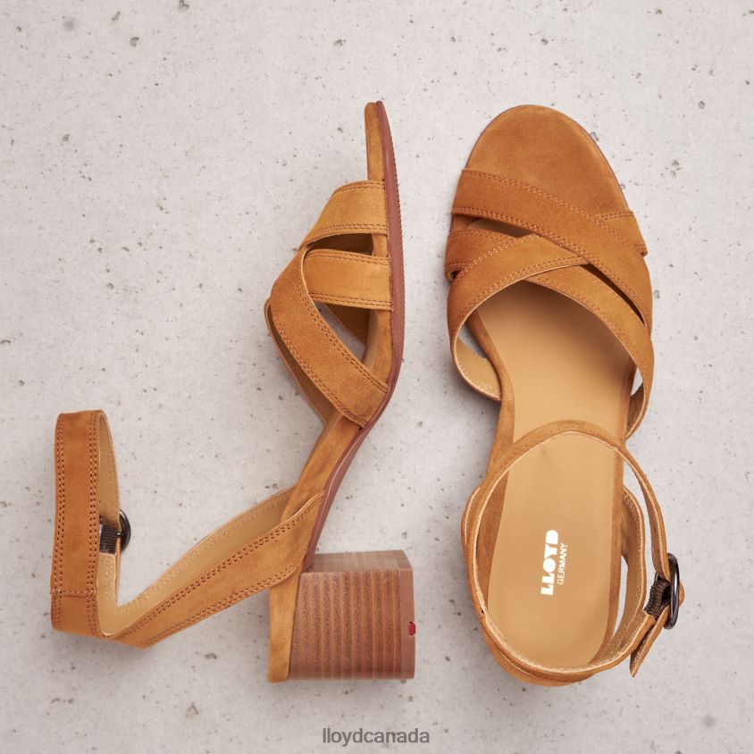 SUEDE SANDALE LLOYD Women brown R084ZF1155 Shoes