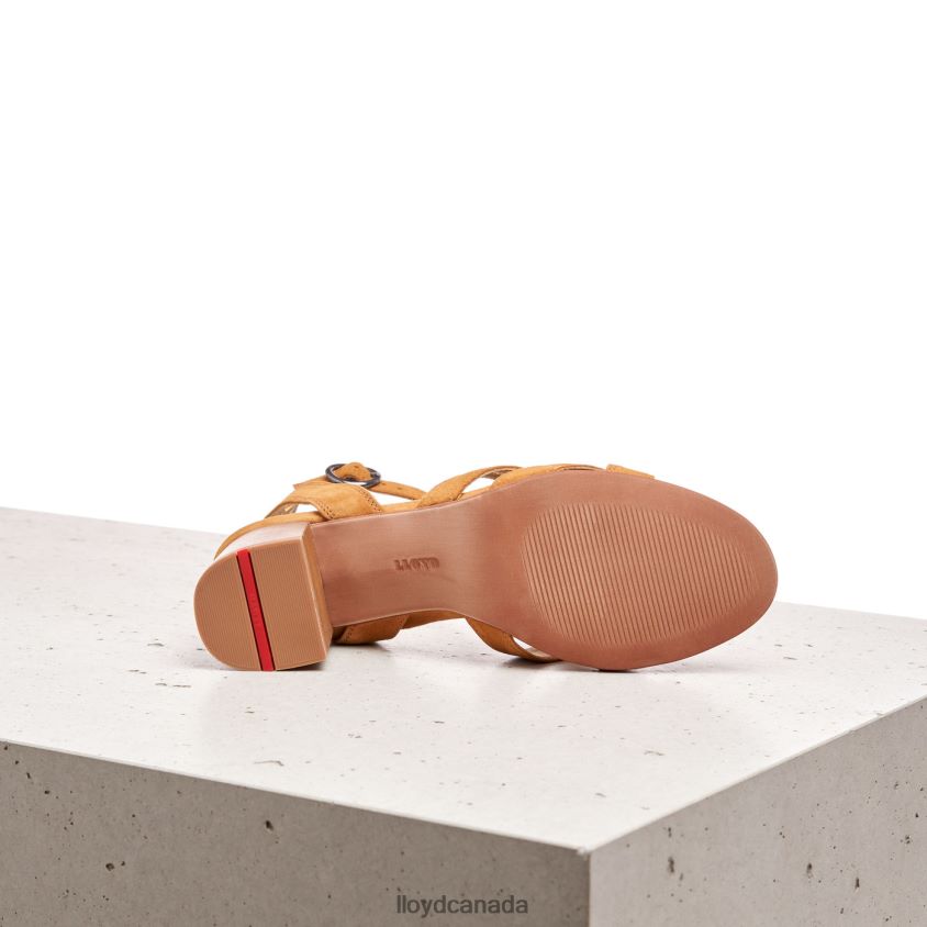 SUEDE SANDALE LLOYD Women brown R084ZF1155 Shoes