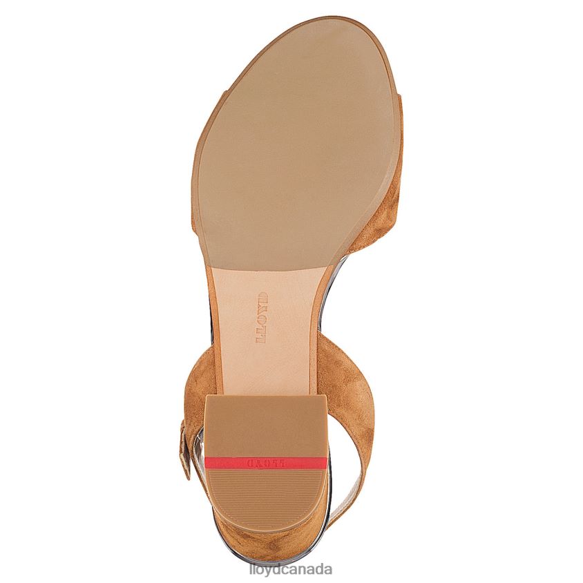 SUEDE SANDALE LLOYD Women brown R084ZF1174 Shoes