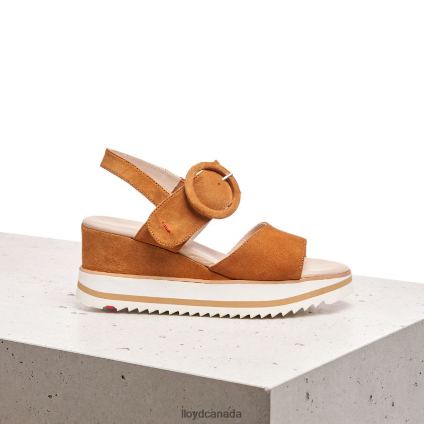 SUEDE SANDALE LLOYD Women brown R084ZF1214 Shoes