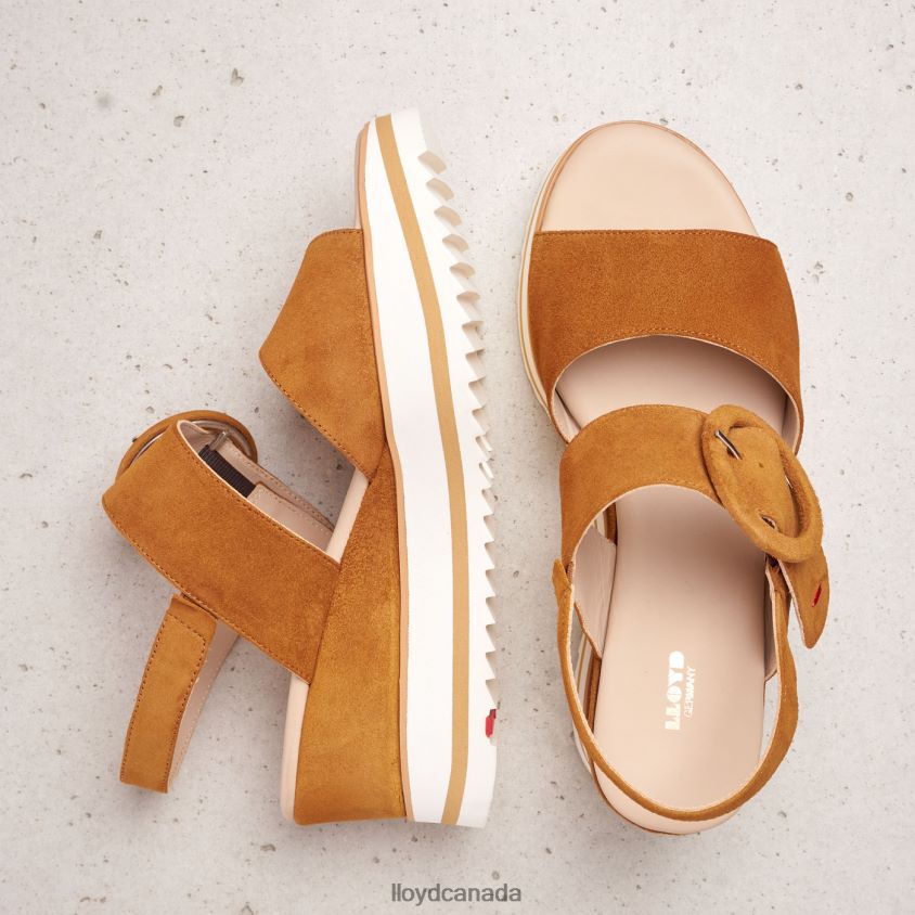 SUEDE SANDALE LLOYD Women brown R084ZF1214 Shoes