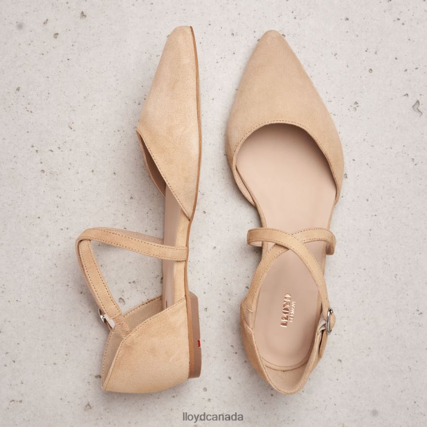SUEDE SURFACE SANDALE LLOYD Women beige R084ZF1165 Shoes