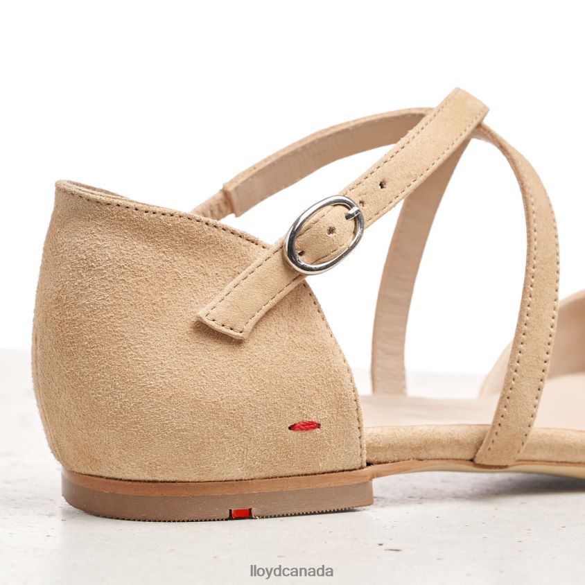SUEDE SURFACE SANDALE LLOYD Women beige R084ZF1165 Shoes