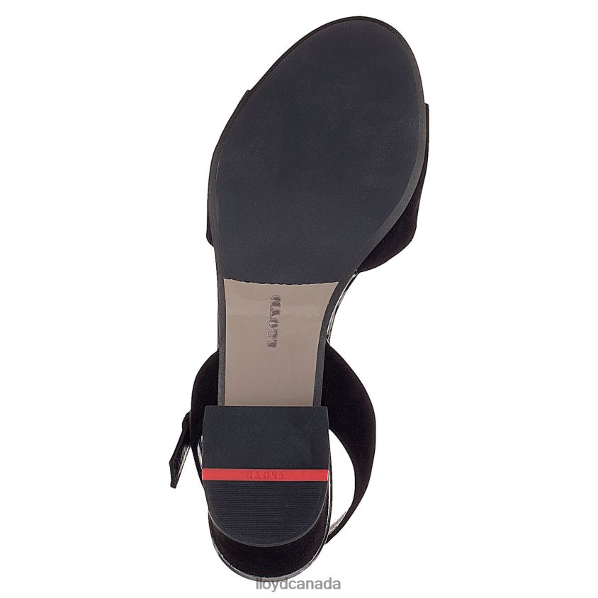 SUEDE SURFACE SANDALE LLOYD Women black R084ZF1173 Shoes