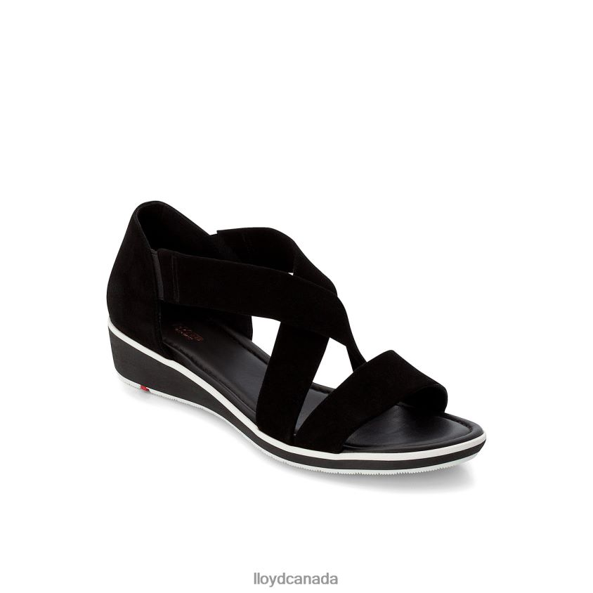 SUEDE SURFACE SANDALE LLOYD Women black R084ZF1248 Shoes