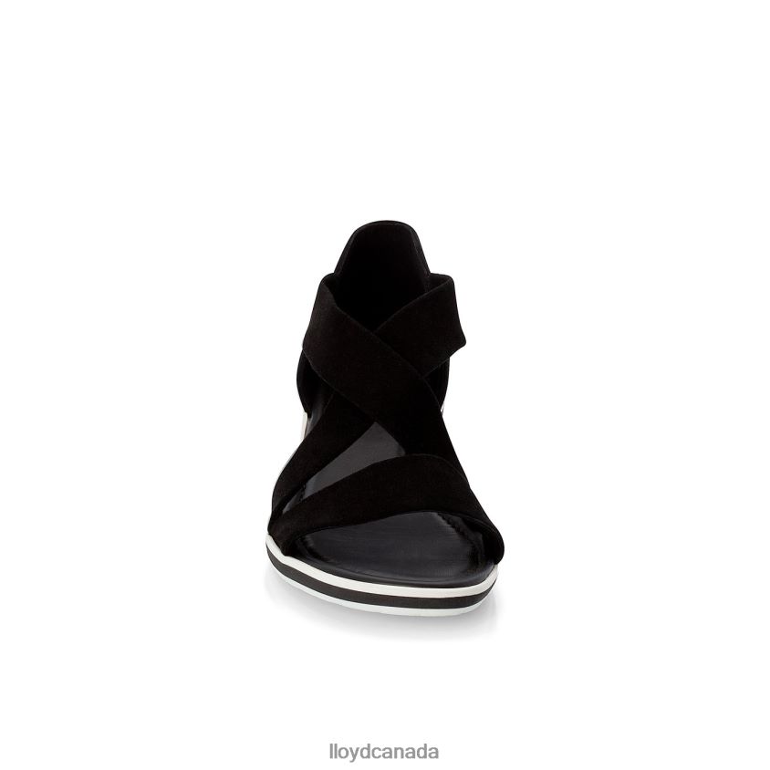 SUEDE SURFACE SANDALE LLOYD Women black R084ZF1248 Shoes
