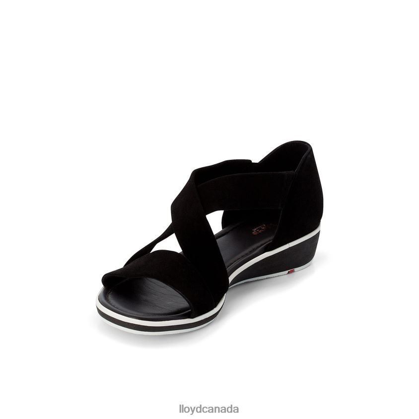 SUEDE SURFACE SANDALE LLOYD Women black R084ZF1248 Shoes