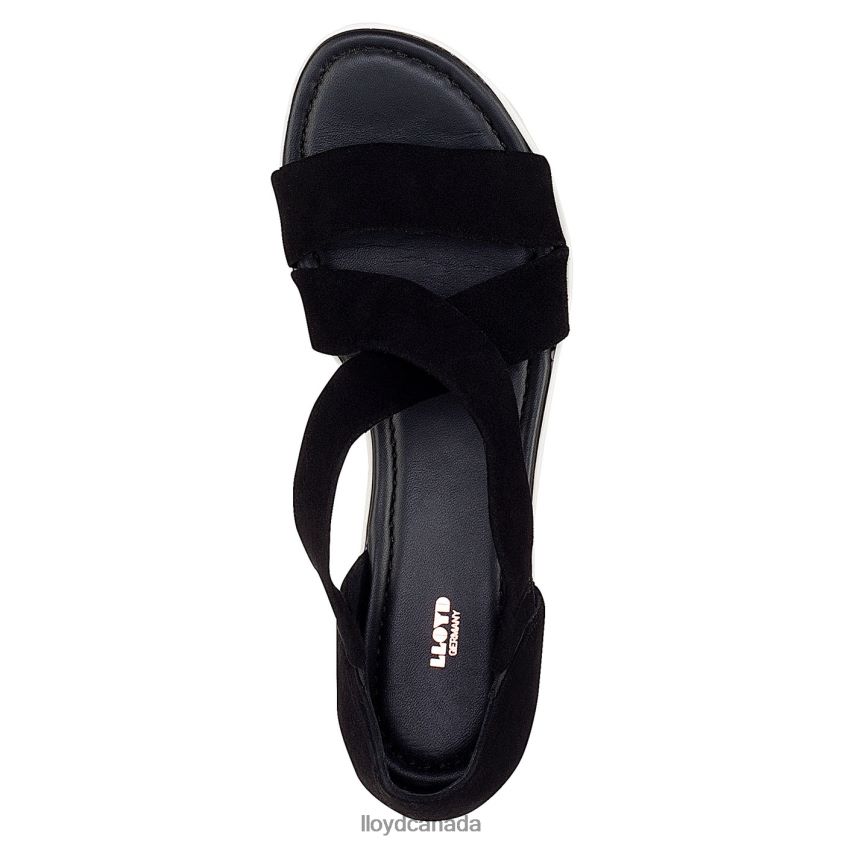 SUEDE SURFACE SANDALE LLOYD Women black R084ZF1248 Shoes