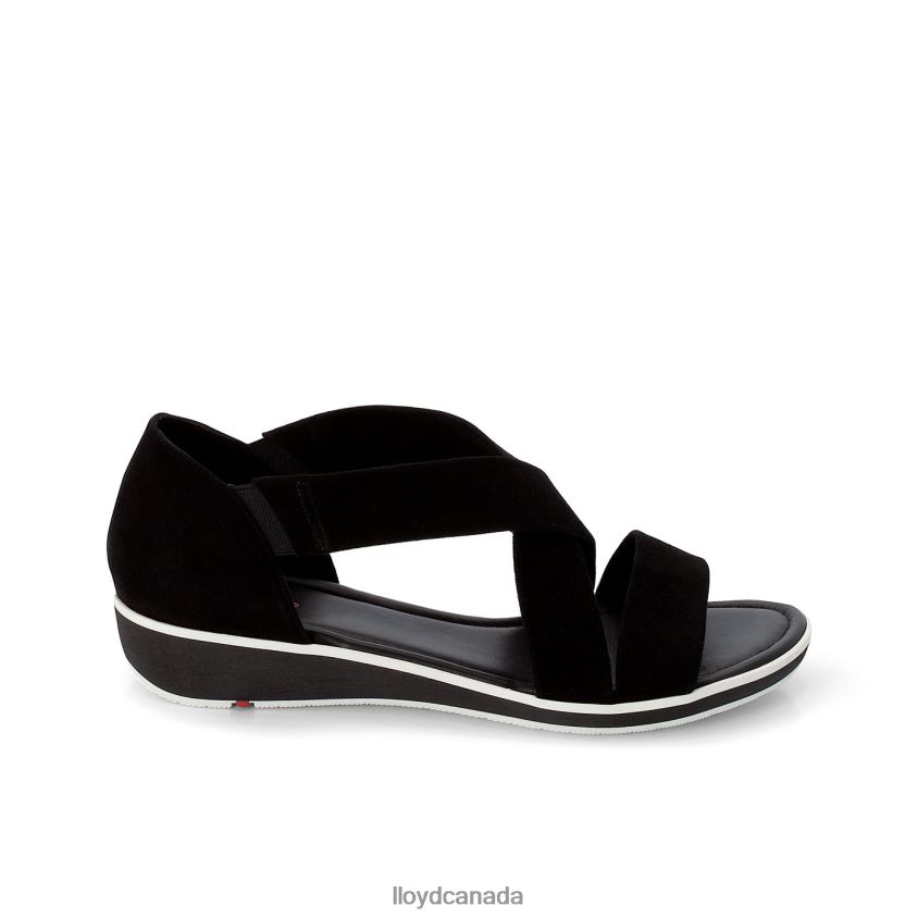 SUEDE SURFACE SANDALE LLOYD Women black R084ZF1248 Shoes
