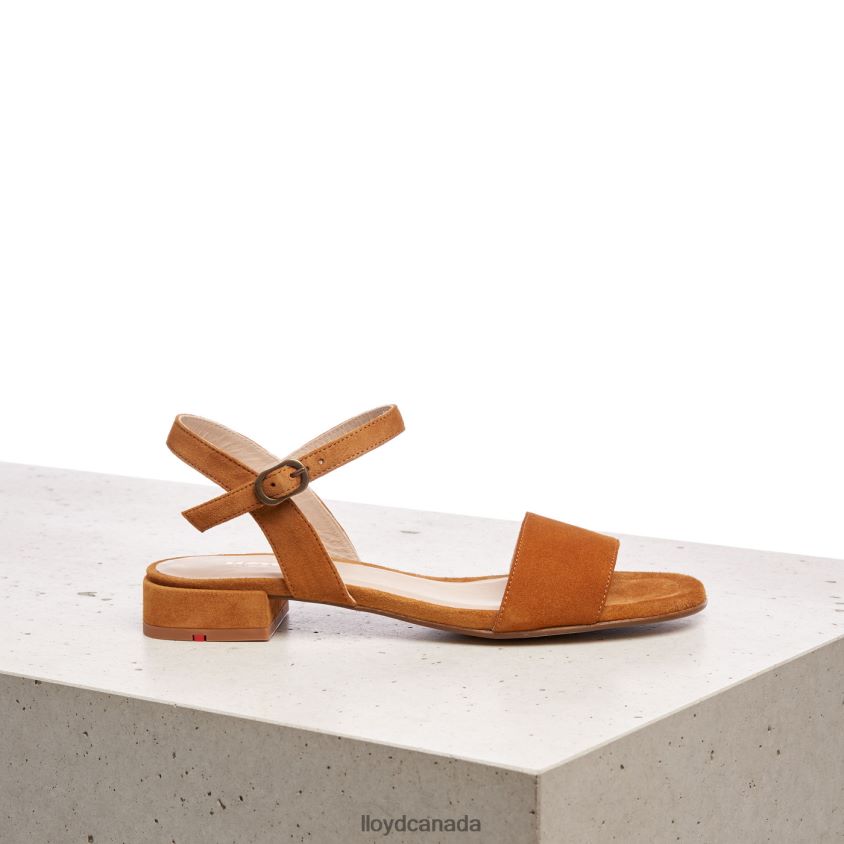 SUEDE SURFACE SANDALE LLOYD Women brown R084ZF1158 Shoes