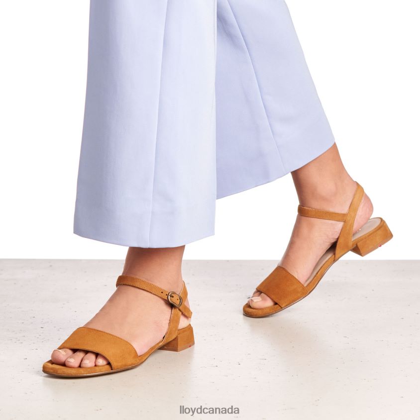 SUEDE SURFACE SANDALE LLOYD Women brown R084ZF1158 Shoes