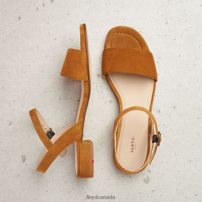 SUEDE SURFACE SANDALE LLOYD Women brown R084ZF1158 Shoes