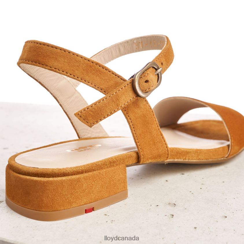 SUEDE SURFACE SANDALE LLOYD Women brown R084ZF1158 Shoes