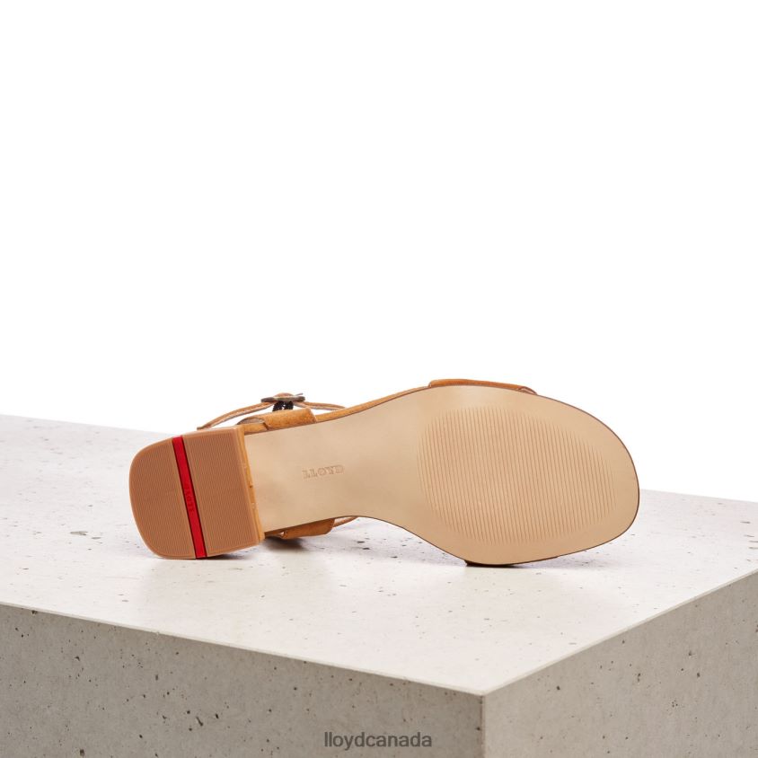 SUEDE SURFACE SANDALE LLOYD Women brown R084ZF1158 Shoes