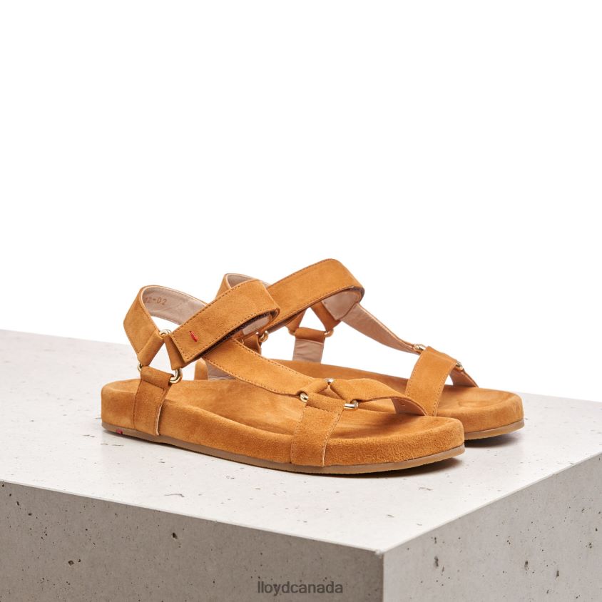 SUEDE SURFACE SANDALE LLOYD Women brown R084ZF1228 Shoes