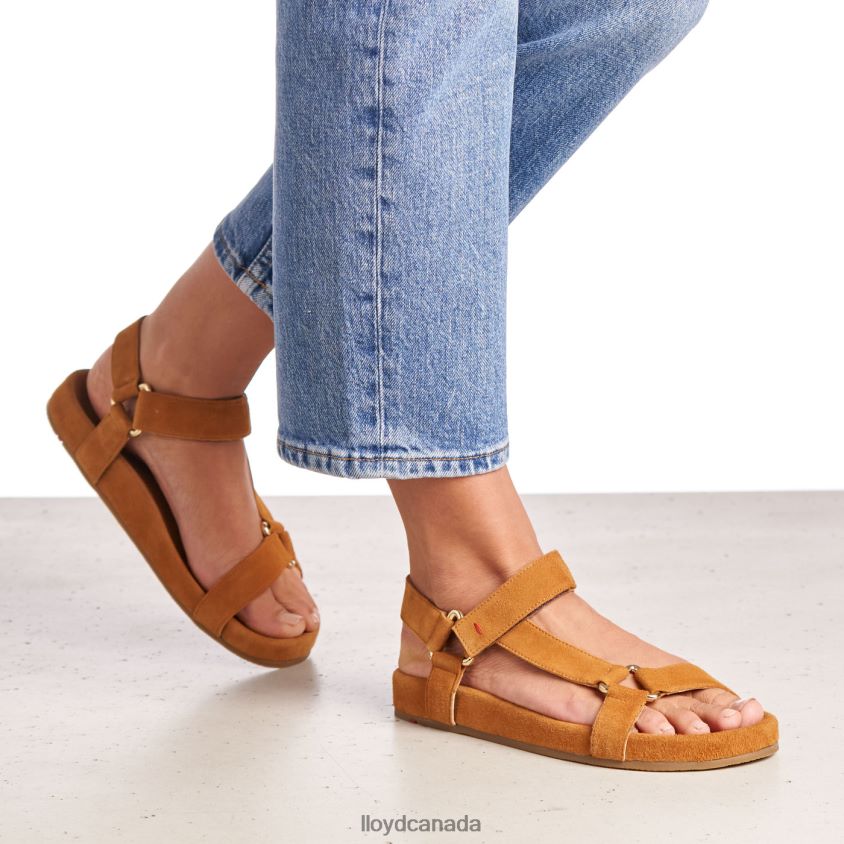 SUEDE SURFACE SANDALE LLOYD Women brown R084ZF1228 Shoes