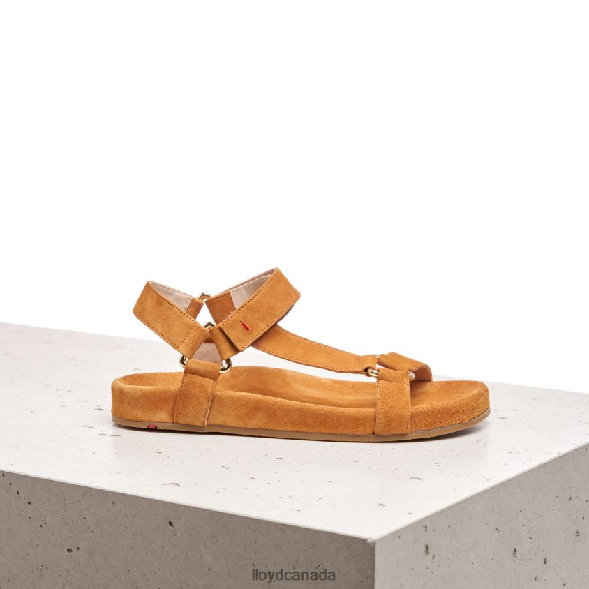 SUEDE SURFACE SANDALE LLOYD Women brown R084ZF1228 Shoes