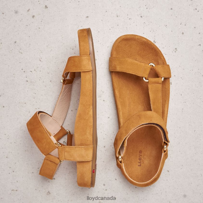 SUEDE SURFACE SANDALE LLOYD Women brown R084ZF1228 Shoes