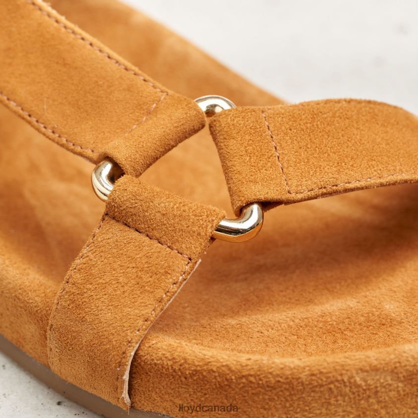 SUEDE SURFACE SANDALE LLOYD Women brown R084ZF1228 Shoes