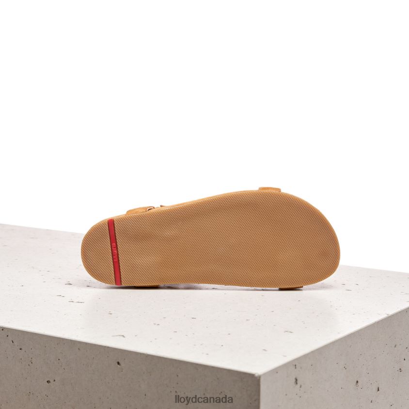 SUEDE SURFACE SANDALE LLOYD Women brown R084ZF1228 Shoes