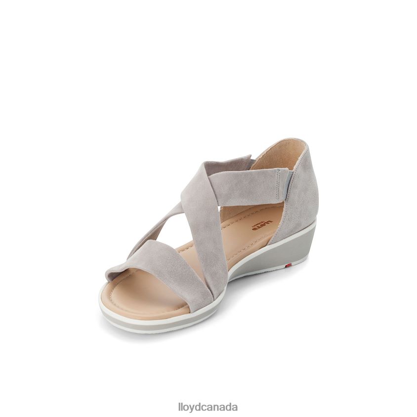SUEDE SURFACE SANDALE LLOYD Women grey R084ZF1247 Shoes