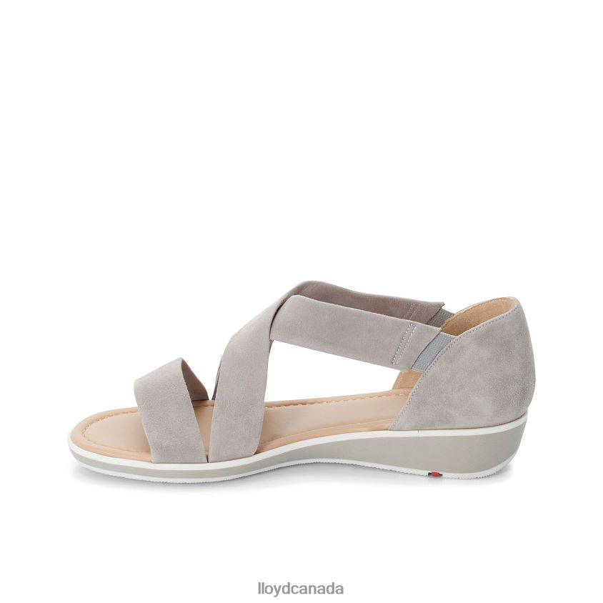 SUEDE SURFACE SANDALE LLOYD Women grey R084ZF1247 Shoes