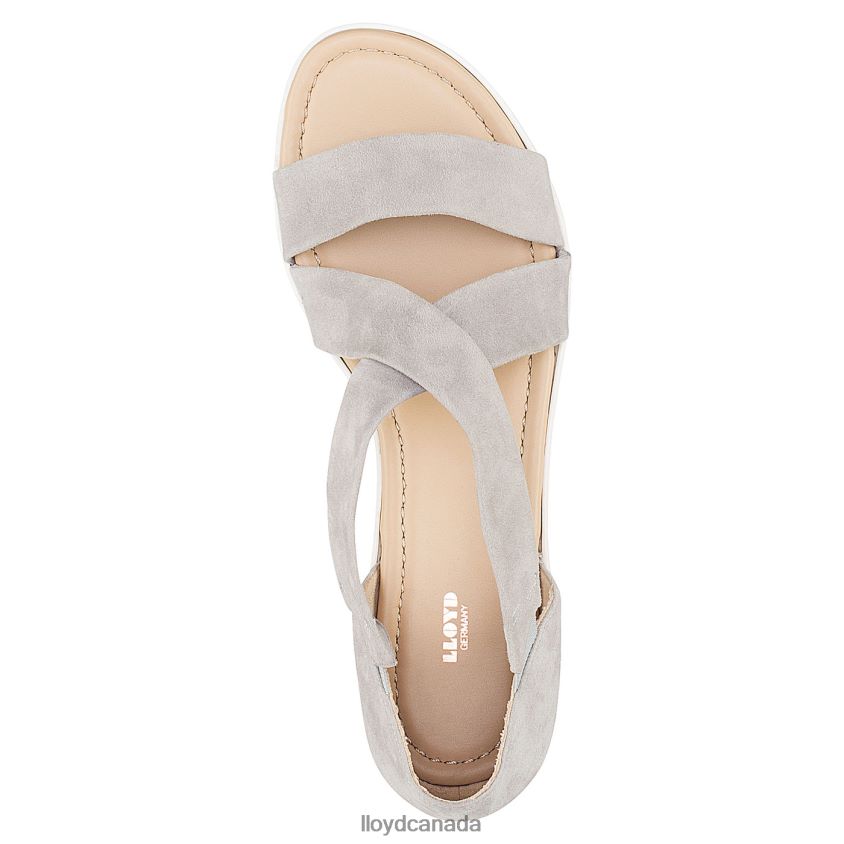 SUEDE SURFACE SANDALE LLOYD Women grey R084ZF1247 Shoes