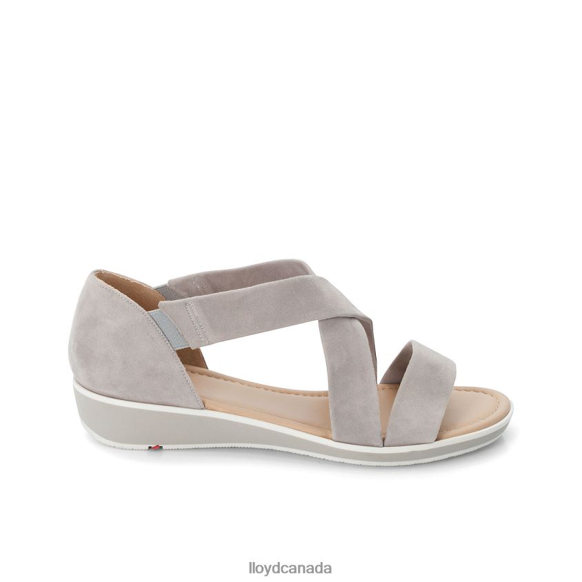 SUEDE SURFACE SANDALE LLOYD Women grey R084ZF1247 Shoes