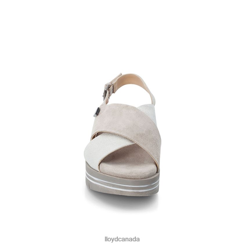 SUEDE SURFACE SANDALE LLOYD Women grey R084ZF1252 Shoes
