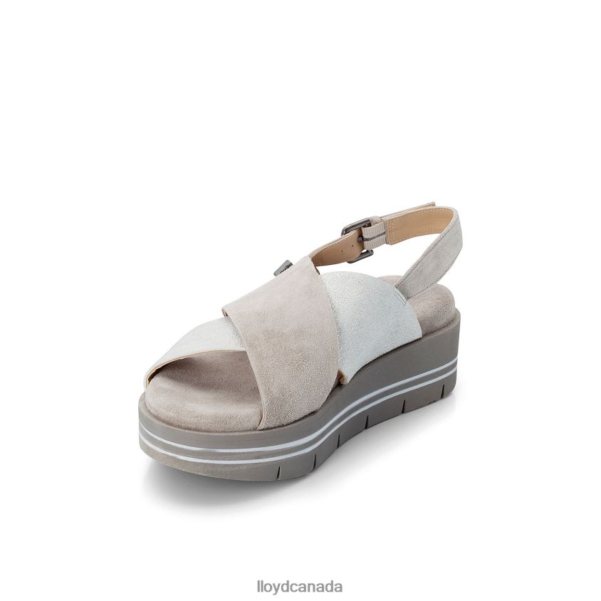 SUEDE SURFACE SANDALE LLOYD Women grey R084ZF1252 Shoes