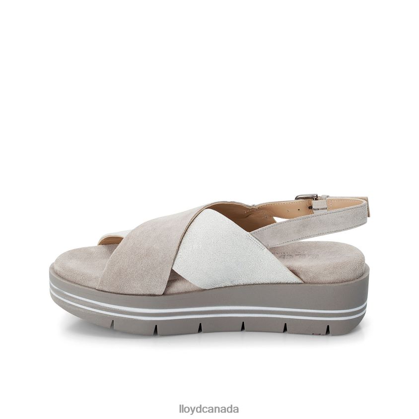 SUEDE SURFACE SANDALE LLOYD Women grey R084ZF1252 Shoes