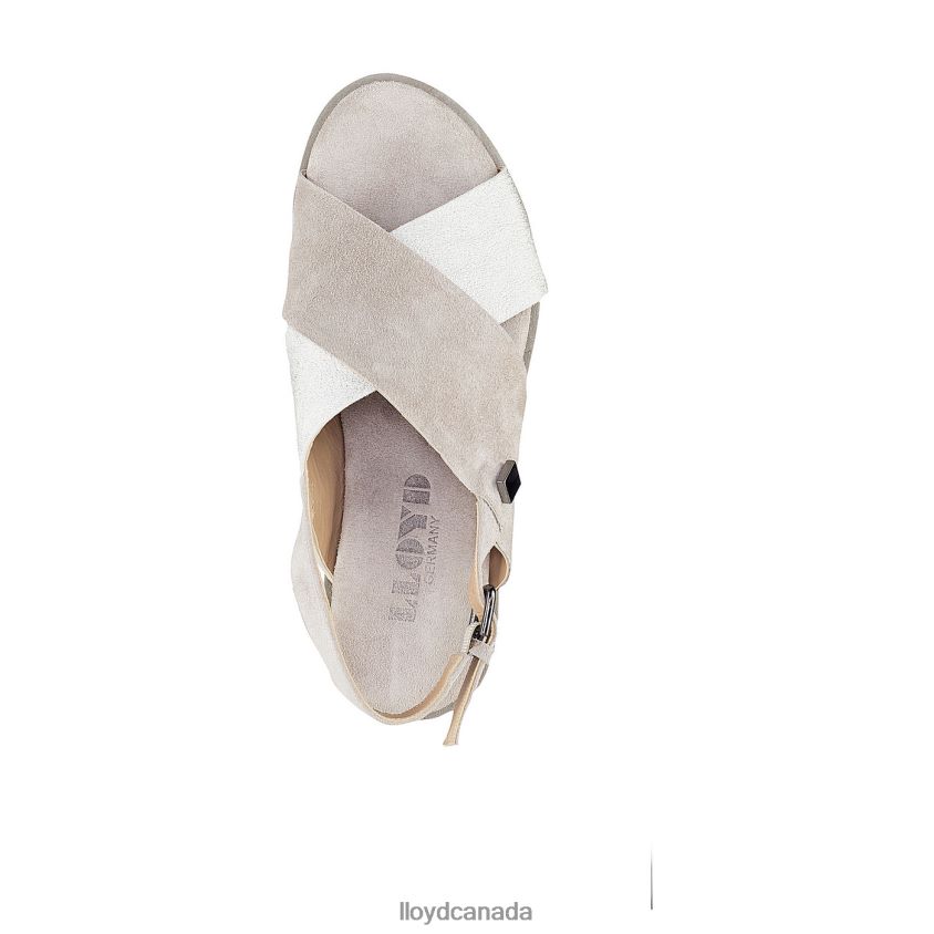 SUEDE SURFACE SANDALE LLOYD Women grey R084ZF1252 Shoes