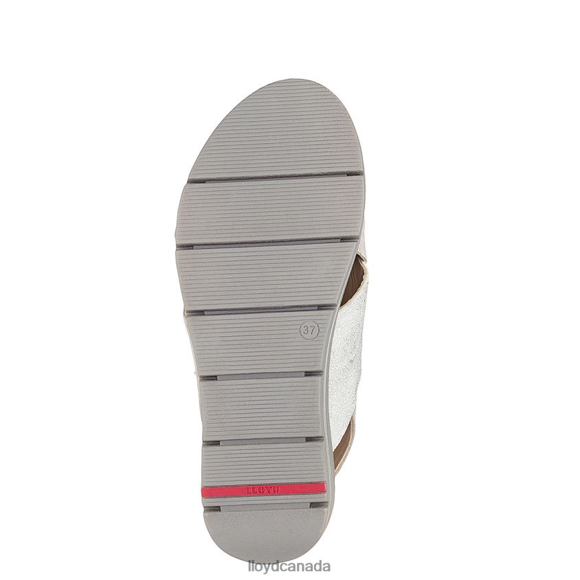 SUEDE SURFACE SANDALE LLOYD Women grey R084ZF1252 Shoes