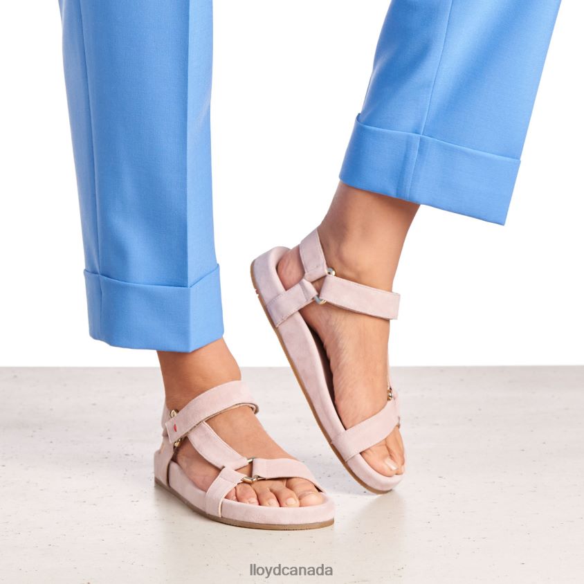 SUEDE SURFACE SANDALE LLOYD Women pink R084ZF1236 Shoes