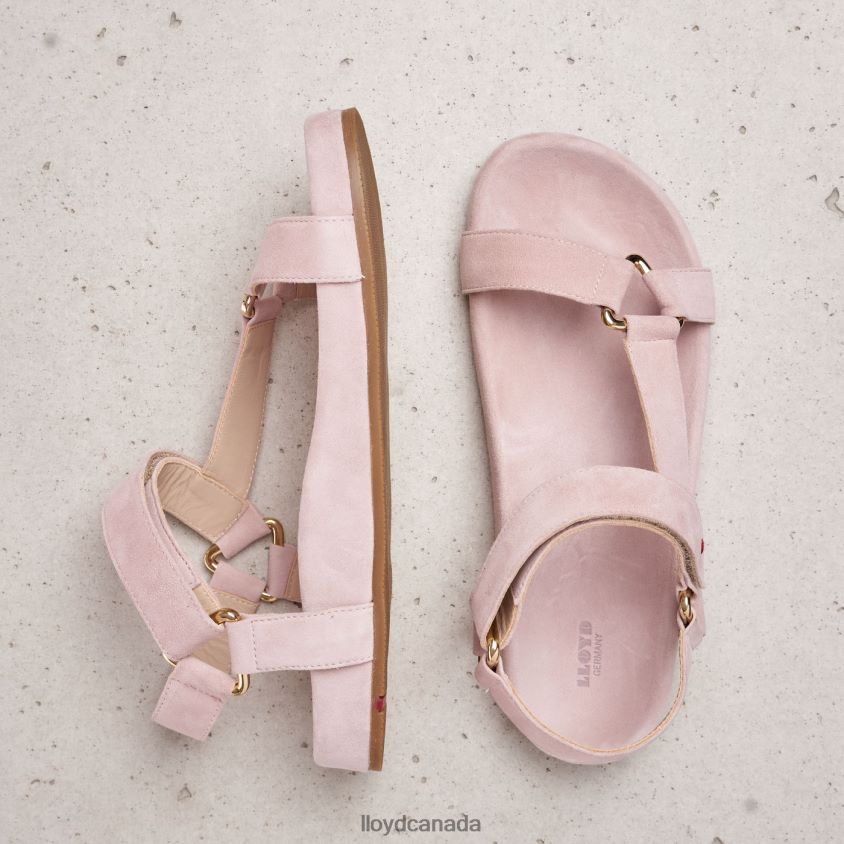 SUEDE SURFACE SANDALE LLOYD Women pink R084ZF1236 Shoes